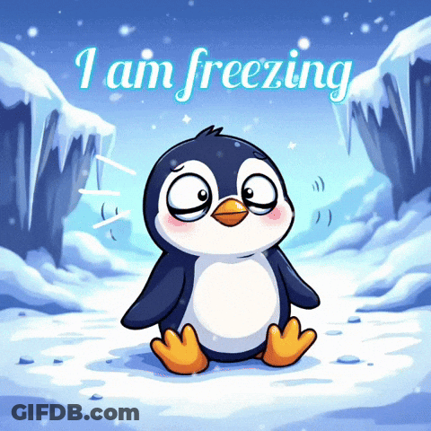 A Penguin Is Sitting In The Snow With The Words I Am Freezing Above It GIF