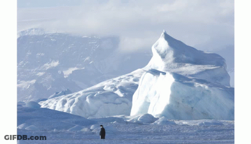 A Penguin Is Standing In Front Of An Iceberg GIF