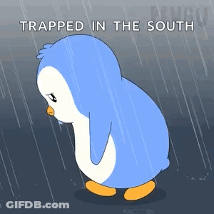 A Penguin Is Trapped In The South In The Rain GIF
