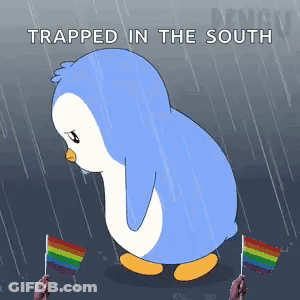 A Penguin Is Trapped In The South While Holding Two Rainbow Flags GIF