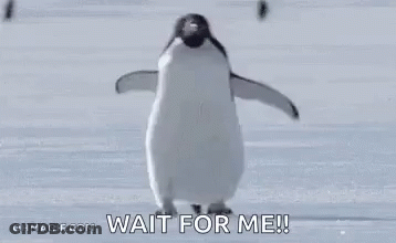 A Penguin Is Walking In The Snow And Says `` Wait For Me '' . GIF