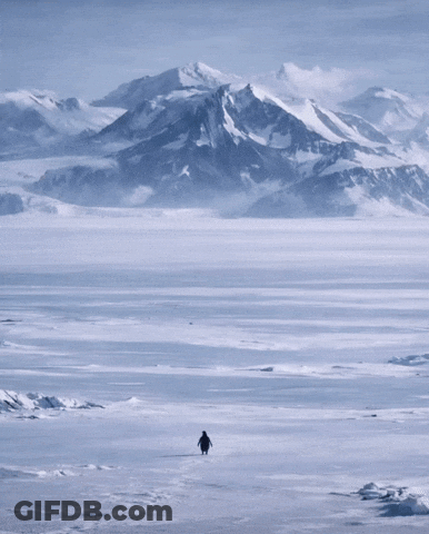 A Penguin Is Walking Through A Snowy Field With Mountains In The Background GIF