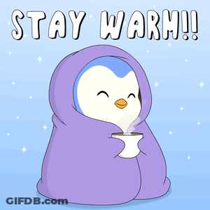 Penguin Wrapped In Purple Blanket Holding Coffee GIF