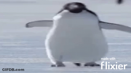 A Penguin Made With Flixier Is Standing On A Snowy Surface GIF