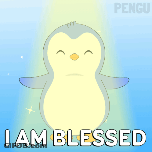 A Penguin Says I Am Blessed With A Blue Background GIF