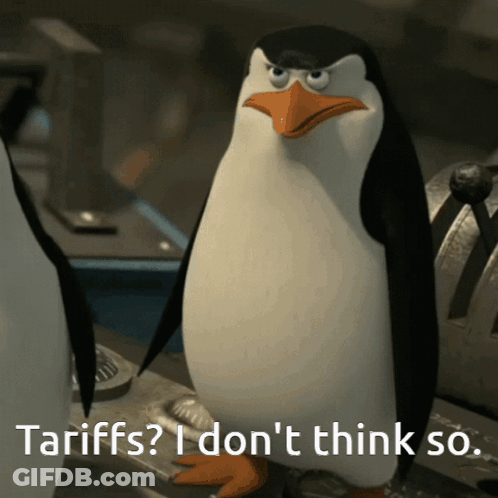 A Penguin Says " Tariffs ? I Don 'T Think So " While Standing Next To Another Penguin GIF