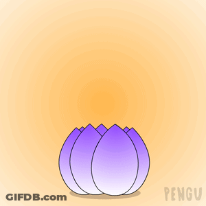 A Penguin Sits In A Lotus Flower With The Words Good Morning GIF
