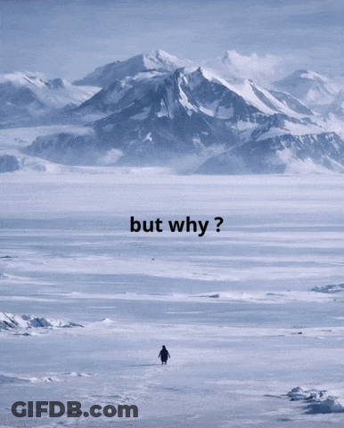A Penguin Walking In The Snow With The Words But Why Below Him GIF
