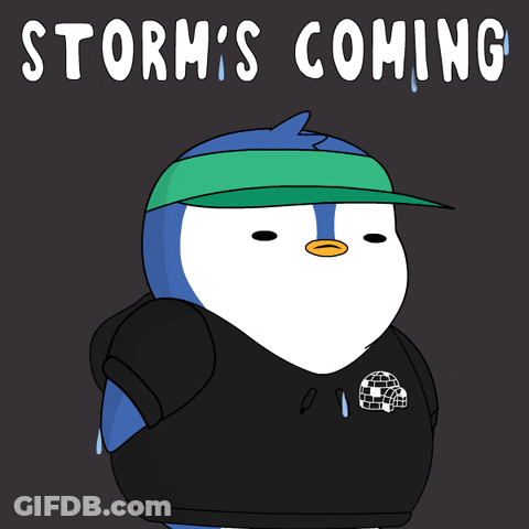 A Penguin Wearing A Black Hoodie And A Green Hat With The Words Storm 'S Coming Above It GIF