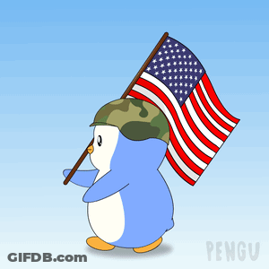 A Penguin Wearing A Camo Helmet Holds An American Flag GIF