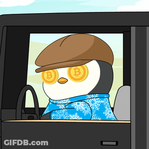 A Penguin Wearing A Hat And Scarf Has A Pair Of Bitcoin Glasses GIF