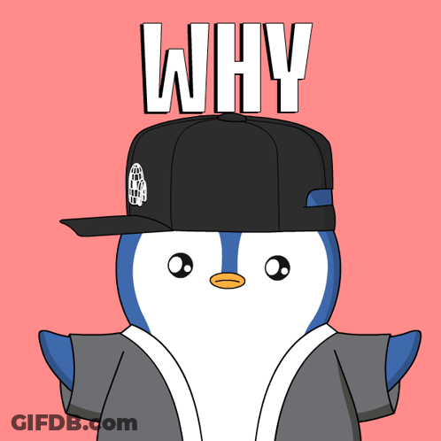 A Penguin Wearing A Hat With The Word Why Written On It GIF