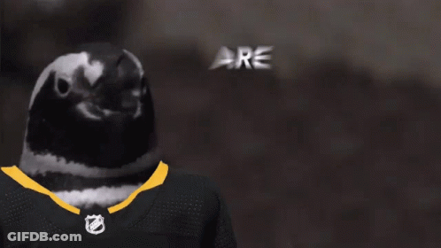 A Penguin Wearing A Jersey That Says ' Are You Ready ' GIF