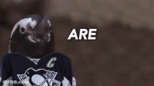 A Penguin Wearing A Jersey With The Number 6 On It GIF