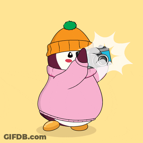 A Penguin Wearing A Pink Sweater And An Orange Hat Is Taking A Picture GIF