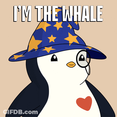 A Penguin Wearing A Wizard Hat And Glasses With The Words I 'M The Whale Below It GIF