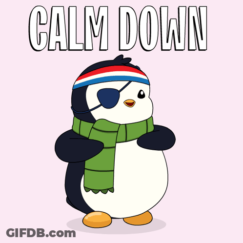 A Penguin Wearing An Eye Patch And A Scarf With The Words Calm Down Above It GIF