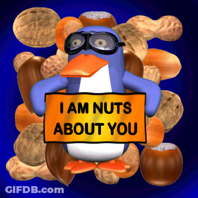 A Penguin Wearing Goggles Holds A Sign That Says I Am Nuts About You GIF