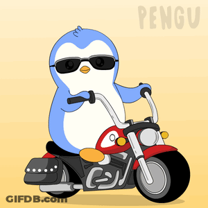 A Penguin Wearing Sunglasses Is Riding A Motorcycle With The Word Pengu Behind Him GIF