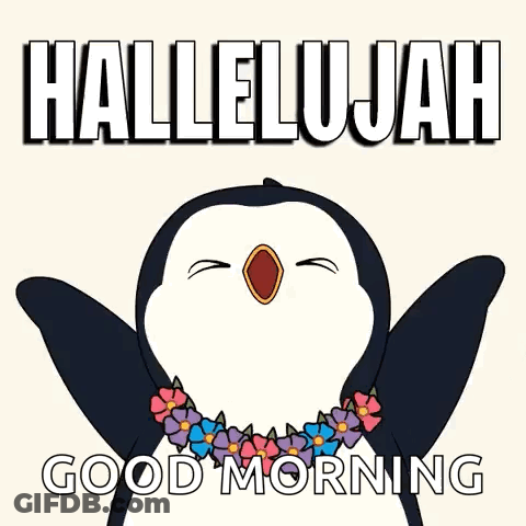 A Penguin With A Lei Around Its Neck Says Good Morning GIF
