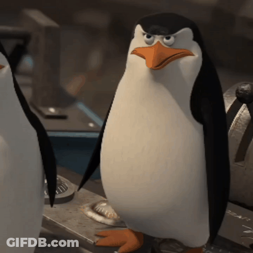 A Penguin With A Serious Look On His Face GIF