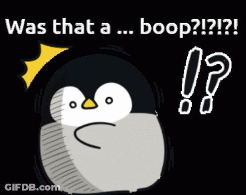 A Penguin With The Words Was That A Boop GIF
