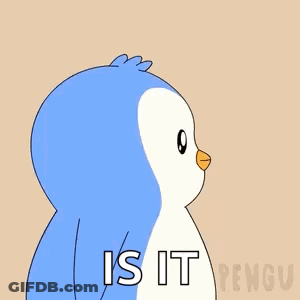 A Penguin With The Words What Is It On Its Face GIF