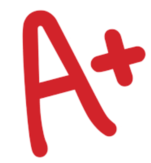 A Perfect Score Spray Sage Sticker GIF