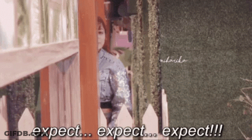 A Person Behind A Fence Says Expect Expect Expect GIF