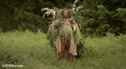 A Person Covered In Leaves Is Standing In A Field Of Grass GIF