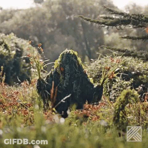 A Person Covered In Moss Is Standing In A Field Of Flowers GIF