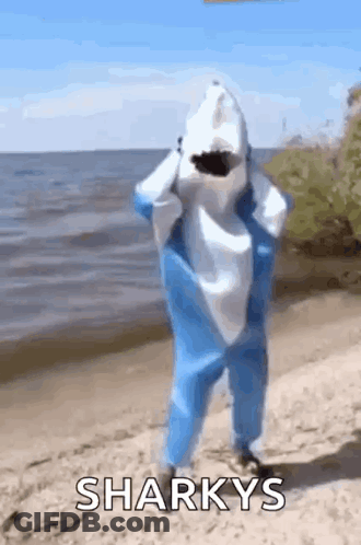 A Person Dressed As A Shark Is Standing On The Beach . GIF