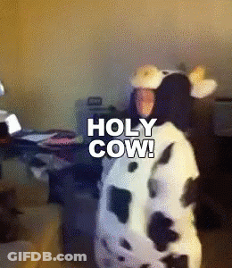 A Person Dressed In A Cow Costume With The Words Holy Cow On The Bottom GIF