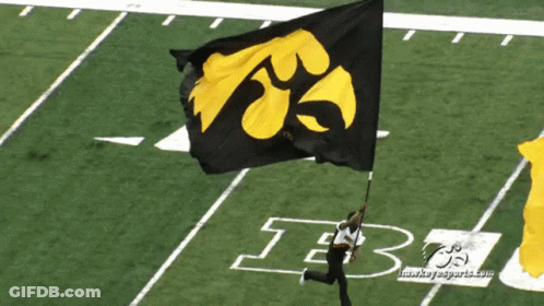 A Person Holding A Black And Yellow Flag On A Field With The Letter B On It GIF