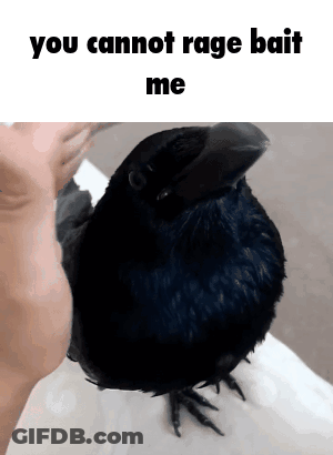 A Person Holding A Black Bird With The Words You Cannot Rage Bait Me On The Bottom GIF