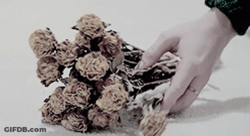A Person Holding A Bunch Of Flowers In Their Hand GIF