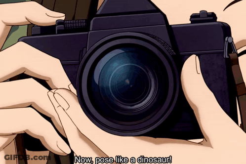 A Person Holding A Camera With The Words Now Pose Like A Dinosaur GIF