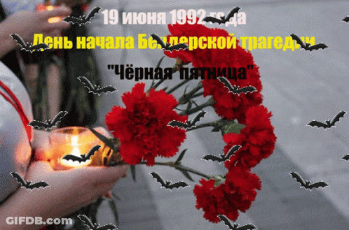 A Person Holding A Candle In Front Of Red Carnations GIF