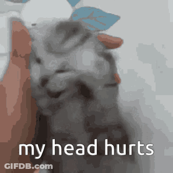 A Person Holding A Cat With The Words " My Head Hurts " Written On It GIF