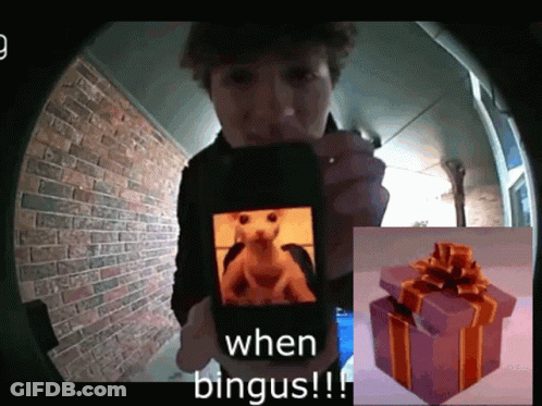 A Person Holding A Cell Phone With A Picture Of A Hamster On It And The Words " When Bingus " GIF