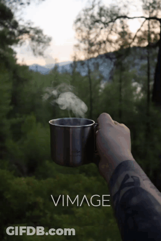 A Person Holding A Cup With Steam Coming Out Of It In Front Of Trees And The Word Vimager GIF