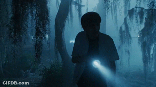 A Person Holding A Flashlight In The Dark GIF