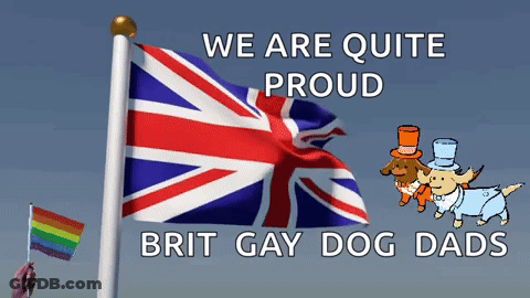 A Person Holding A Rainbow Flag Next To A British Flag GIF