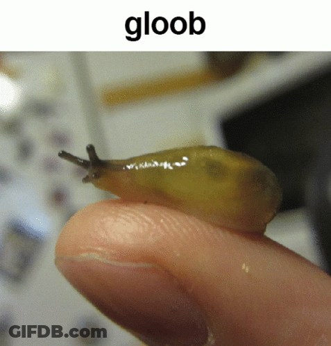 A Person Holding A Small Snail On Their Finger With The Word Gloob Below It GIF