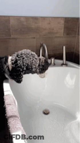 A Person Holding A Stuffed Animal Over A Bathtub GIF