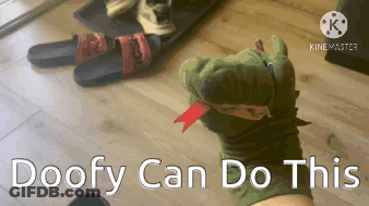 A Person Holding A Stuffed Animal With The Words Doofy Can Do This Written On The Bottom GIF