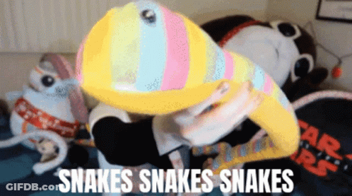 A Person Holding A Stuffed Animal With The Words Snakes Snakes Snakes GIF