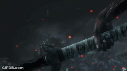A Person Holding A Sword With The Words " This Is Your Last Wish " Below Them GIF