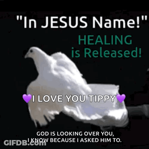 A Person Holding A White Dove With The Words " In Jesus Name Healing Is Released ! " GIF