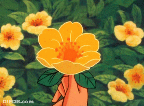A Person Holding A Yellow Flower In Front Of A Field Of Yellow Flowers GIF